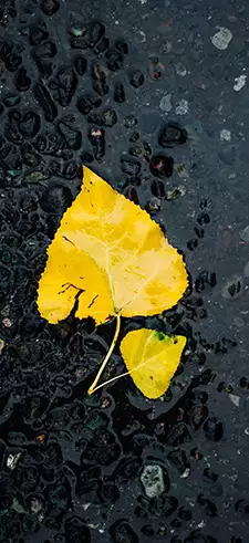 Sad Wallpapers